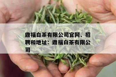 鼎福白茶有限公司官网、招聘和地址：鼎福白茶有限公司