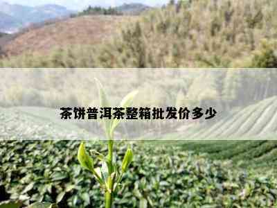 茶饼普洱茶整箱批发价多少