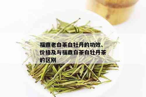 福鼎老白茶白牡丹的功效、价格及与福鼎白茶白牡丹茶的区别