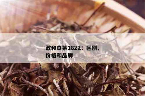 政和白茶1822：区别、价格和品牌