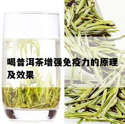 喝普洱茶增强免疫力的原理及效果