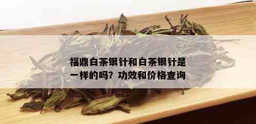 福鼎白茶银针和白茶银针是一样的吗？功效和价格查询