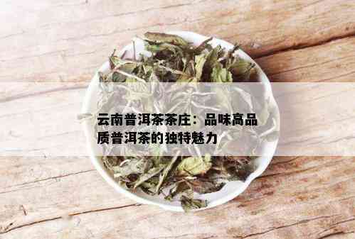 云南普洱茶茶庄：品味高品质普洱茶的独特魅力