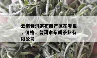 云南普洱茶布朗产区在哪里，价格，普洱市布朗茶业有限公司