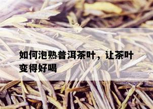 如何泡熟普洱茶叶，让茶叶变得好喝