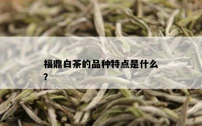 福鼎白茶的品种特点是什么？