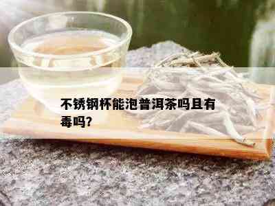 不锈钢杯能泡普洱茶吗且有吗？