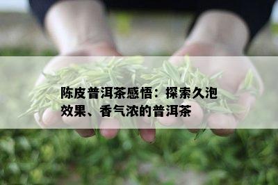 陈皮普洱茶感悟：探索久泡效果、香气浓的普洱茶