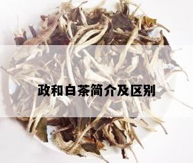 政和白茶简介及区别