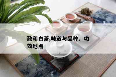 政和白茶,味道与品种、功效地点