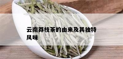 云南莽枝茶的由来及其独特风味