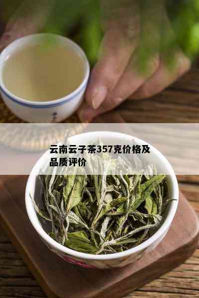 云南云子茶357克价格及品质评价