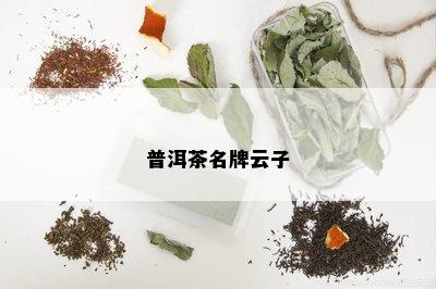 普洱茶名牌云子