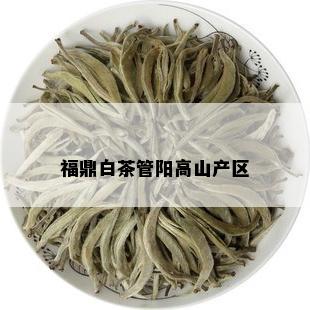 福鼎白茶管阳高山产区