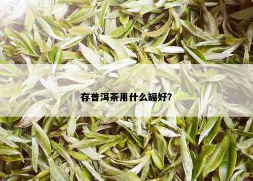 存普洱茶用什么罐好？