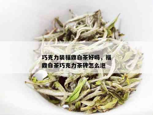 巧克力装福鼎白茶好吗，福鼎白茶巧克力茶砖怎么泡