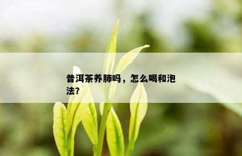 普洱茶养肺吗，怎么喝和泡法？