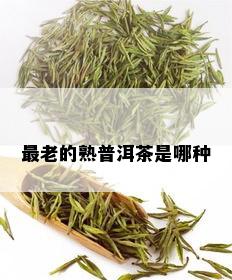 最老的熟普洱茶是哪种