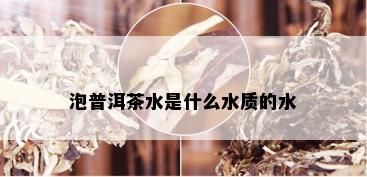 泡普洱茶水是什么水质的水