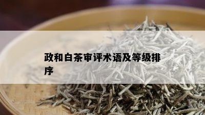 政和白茶审评术语及等级排序