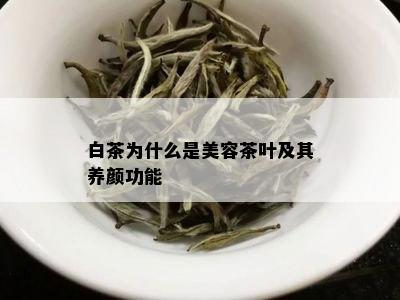 白茶为什么是美容茶叶及其养颜功能