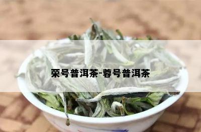 荣号普洱茶-蓉号普洱茶