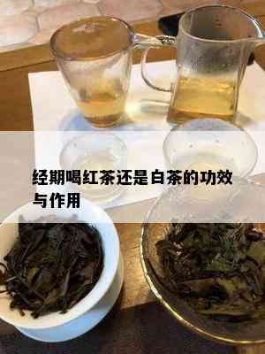 经期喝红茶还是白茶的功效与作用