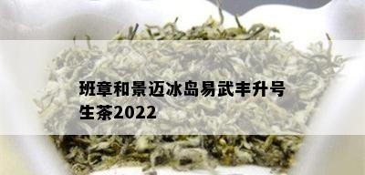 班章和景迈冰岛易武丰升号生茶2022