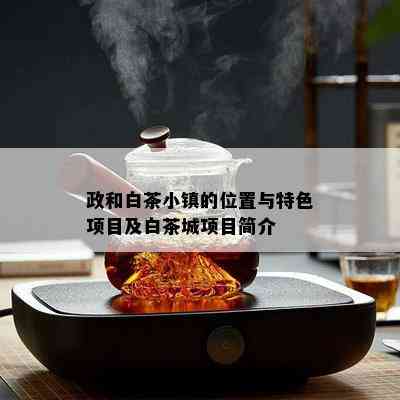 政和白茶小镇的位置与特色项目及白茶城项目简介