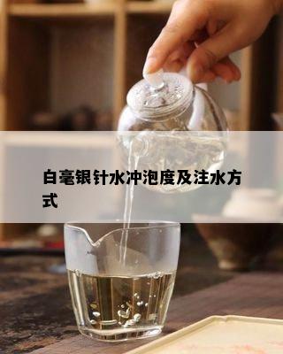 白毫银针水冲泡度及注水方式