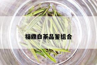 福鼎白茶品鉴组合