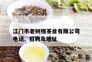 江门市老树柑茶业有限公司电话、招聘及地址