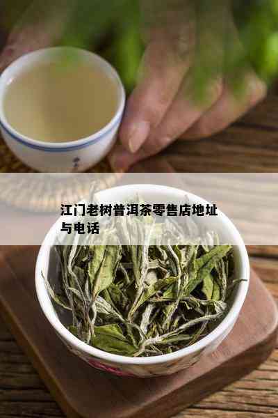 江门老树普洱茶零售店地址与电话