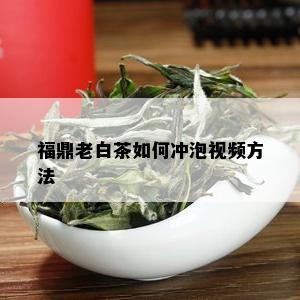 福鼎老白茶如何冲泡视频方法