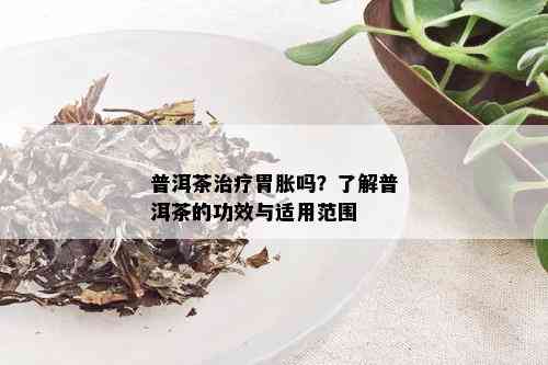 普洱茶治疗胃胀吗？了解普洱茶的功效与适用范围