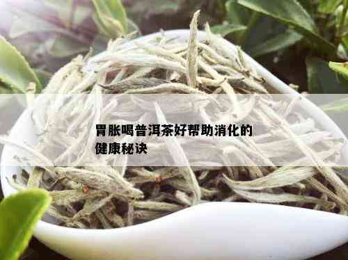 胃胀喝普洱茶好帮助消化的健康秘诀