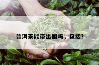 普洱茶能带出国吗，包括？