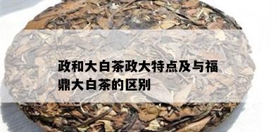 政和大白茶政大特点及与福鼎大白茶的区别