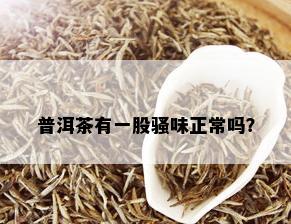 普洱茶有一股骚味正常吗？