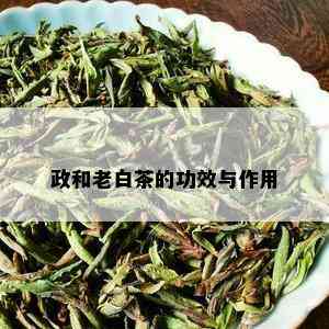 政和老白茶的功效与作用