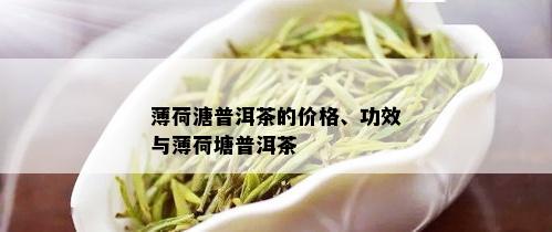 薄荷溏普洱茶的价格、功效与薄荷塘普洱茶