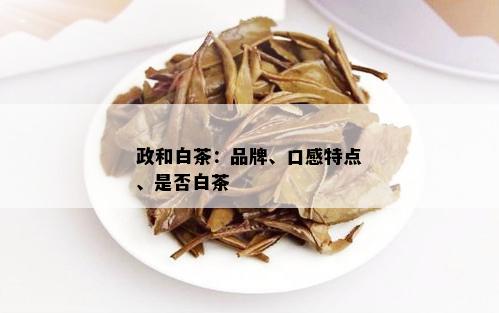 政和白茶：品牌、口感特点、是否白茶