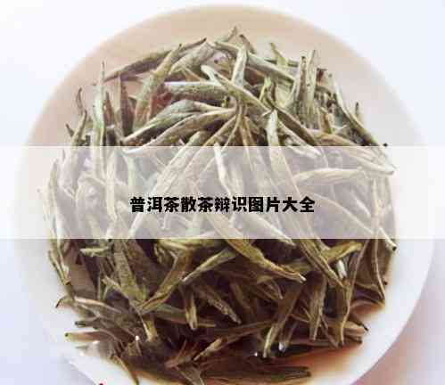 普洱茶散茶辩识图片大全