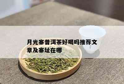 月光寨普洱茶好喝吗推荐文章及寨址在哪