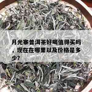 月光寨普洱茶好喝值得买吗，现在在哪里以及价格是多少？