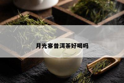 月光寨普洱茶好喝吗