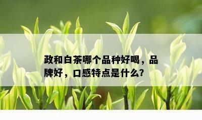 政和白茶哪个品种好喝，品牌好，口感特点是什么？