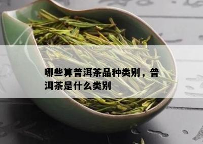 哪些算普洱茶品种类别，普洱茶是什么类别