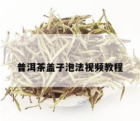 普洱茶盖子泡法视频教程