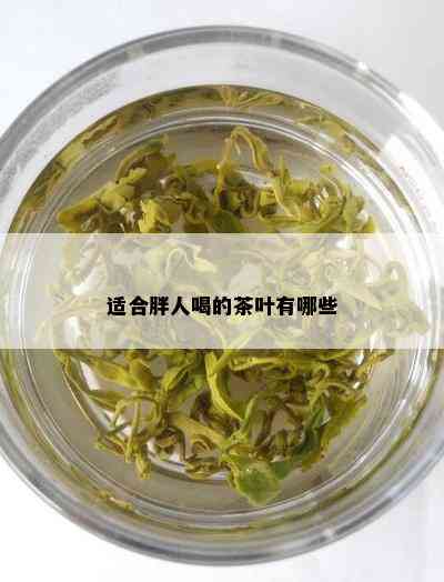 适合胖人喝的茶叶有哪些